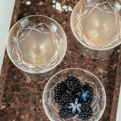 HADELAND GLASSVERK Finn Champagneskål 18cl