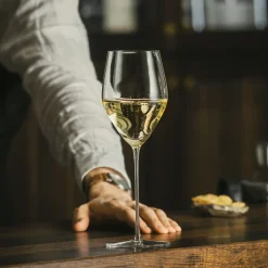 HADELAND GLASSVERK Icon Champagneglass Klassisk 35cl