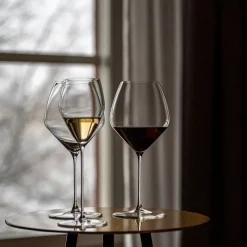 RIEDEL Veloce Pinot Noir/Nebbiolo Vinglass 2stk