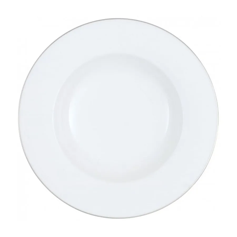 VILLEROY & BOCH TALLERKEN 24CM DYP